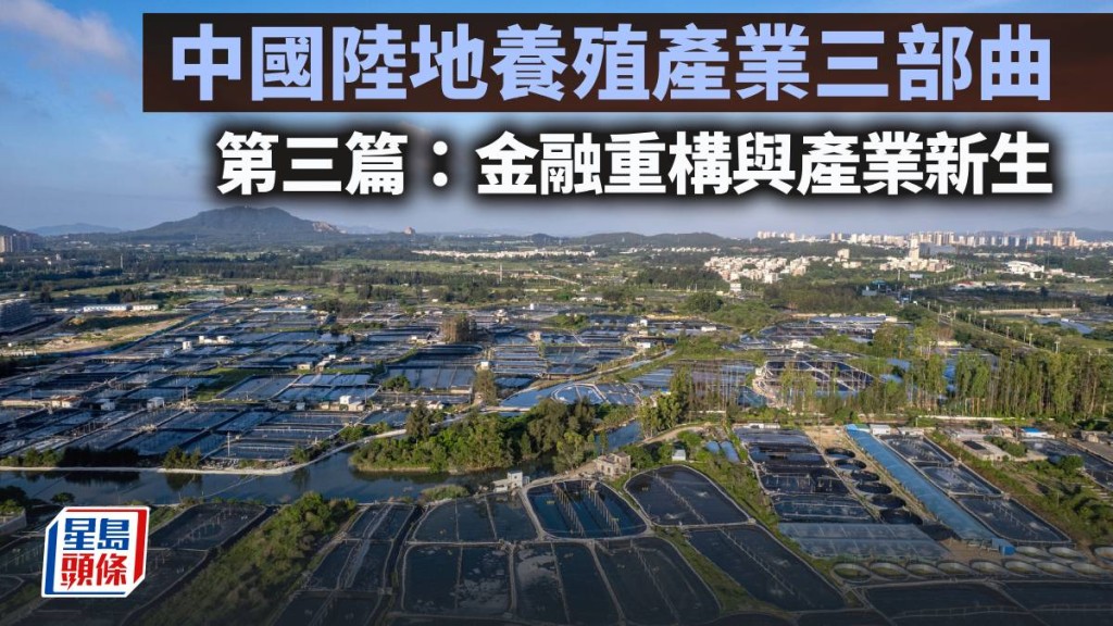 中國陸地養殖產業三部曲 第三篇：金融重構與產業新生｜陳新燊
