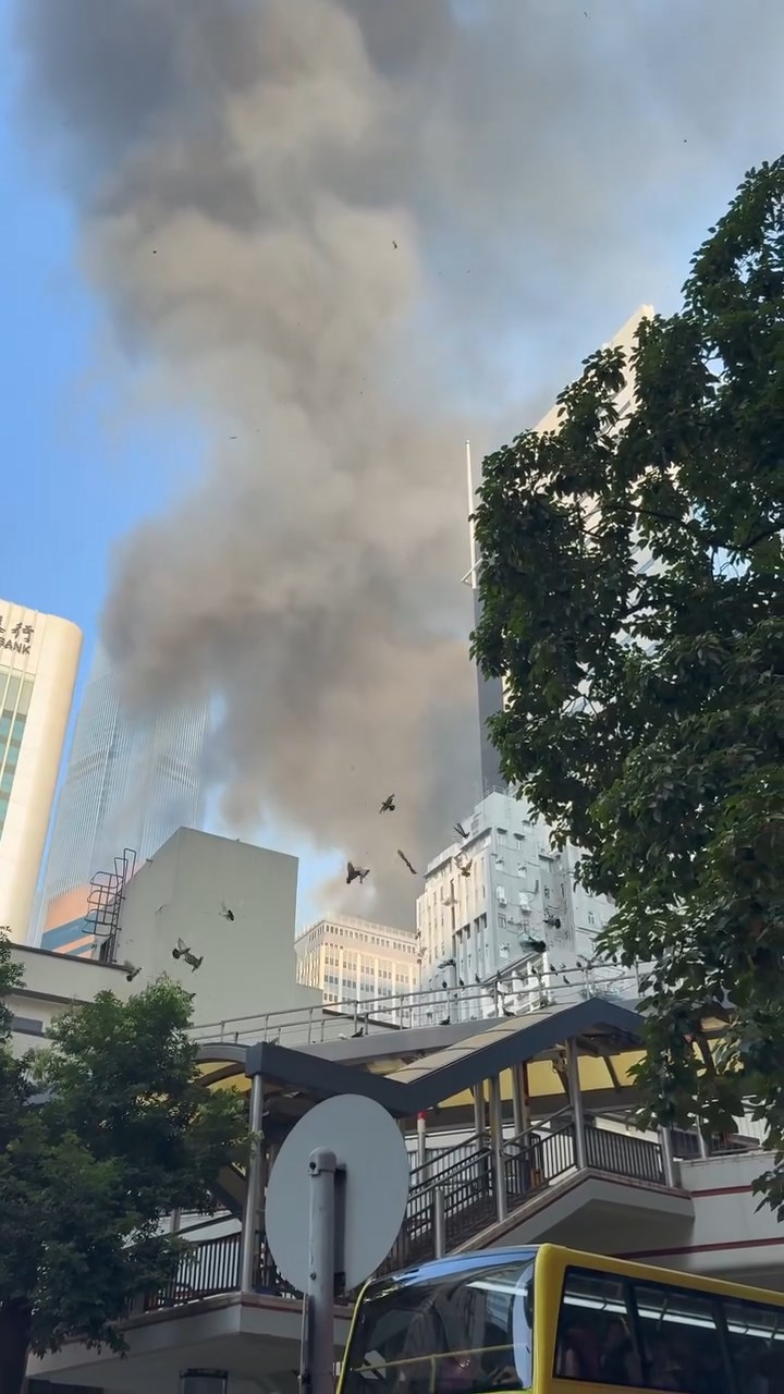 現場濃煙密佈。網上片段截圖 現場濃煙密佈。網上片段截圖