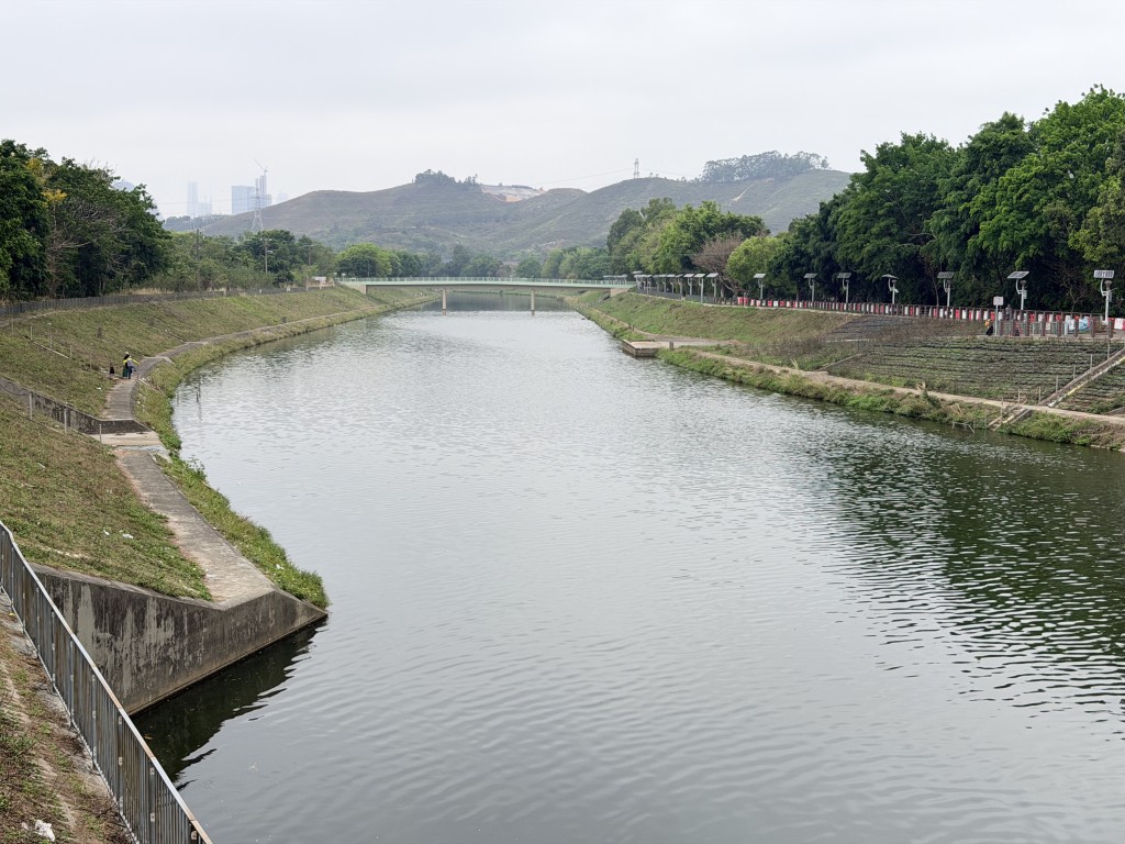 現場為上水梧桐河。