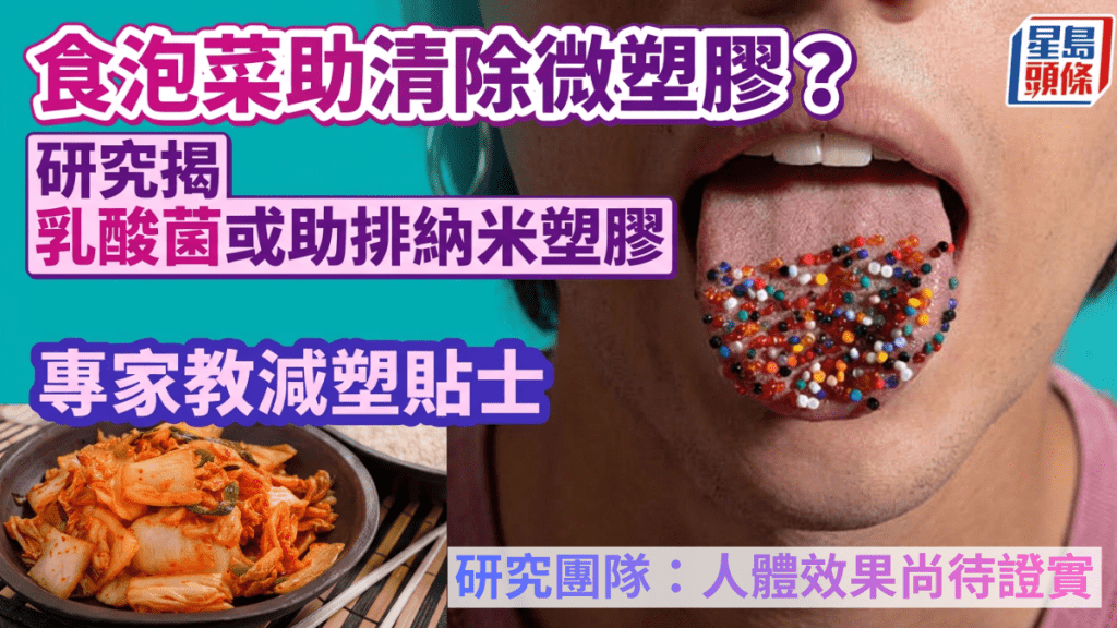 食泡菜清除微塑膠？研究揭乳酸菌或助排納米塑膠 附減塑實用貼士