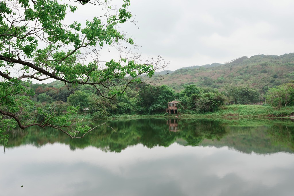 南涌美景處處,猶如一幅山水畫。(圖片來源:蘆葦花開生態教育基金) 南涌美景處處,猶如一幅山水畫。(圖片來源:蘆葦花開生態教育基金)