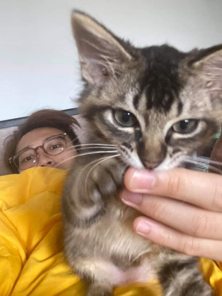 坤哥相當愛錫家中貓主子。