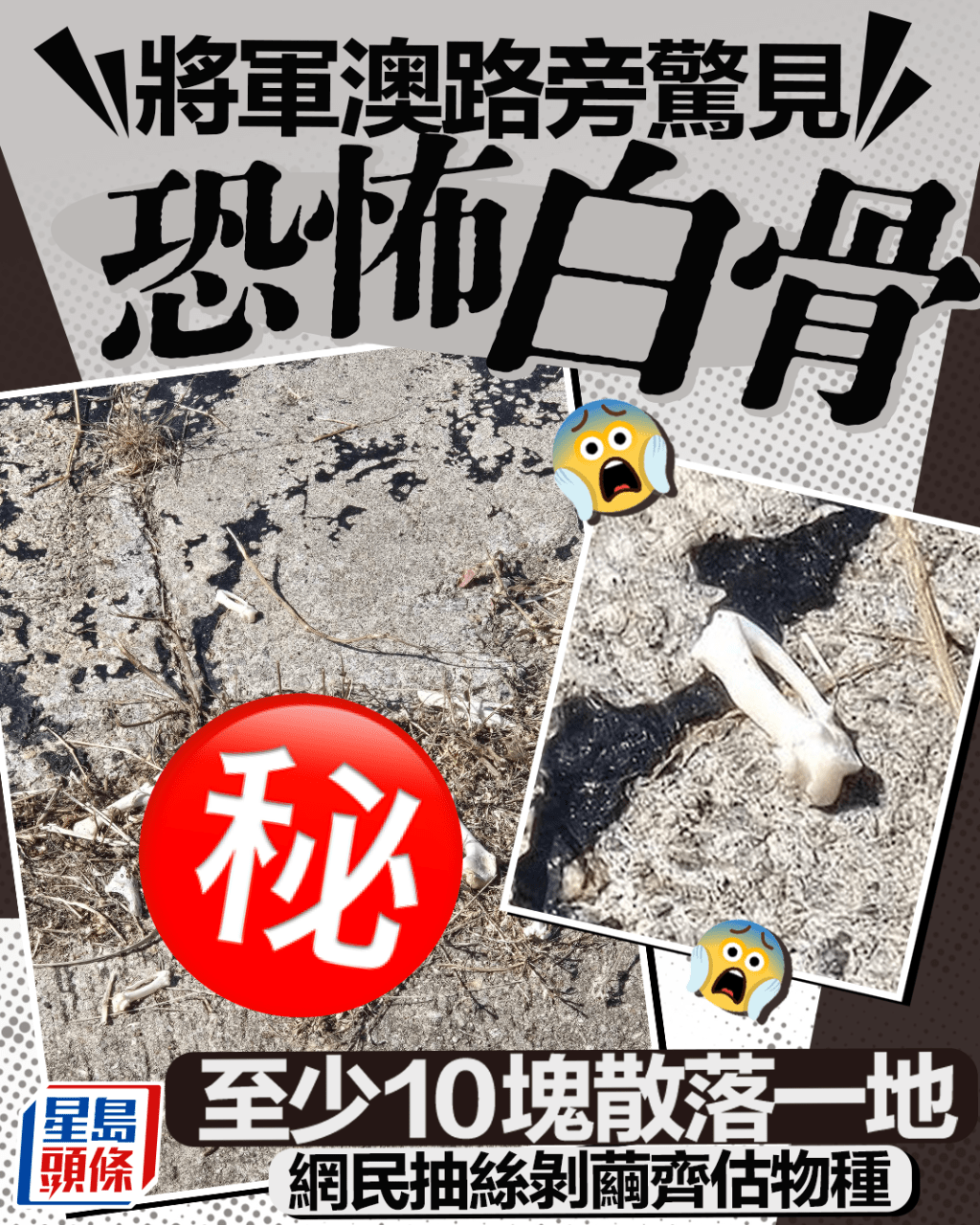 將軍澳路旁驚見恐怖白骨 至少10塊散落一地 網民抽絲剝繭齊估來歷