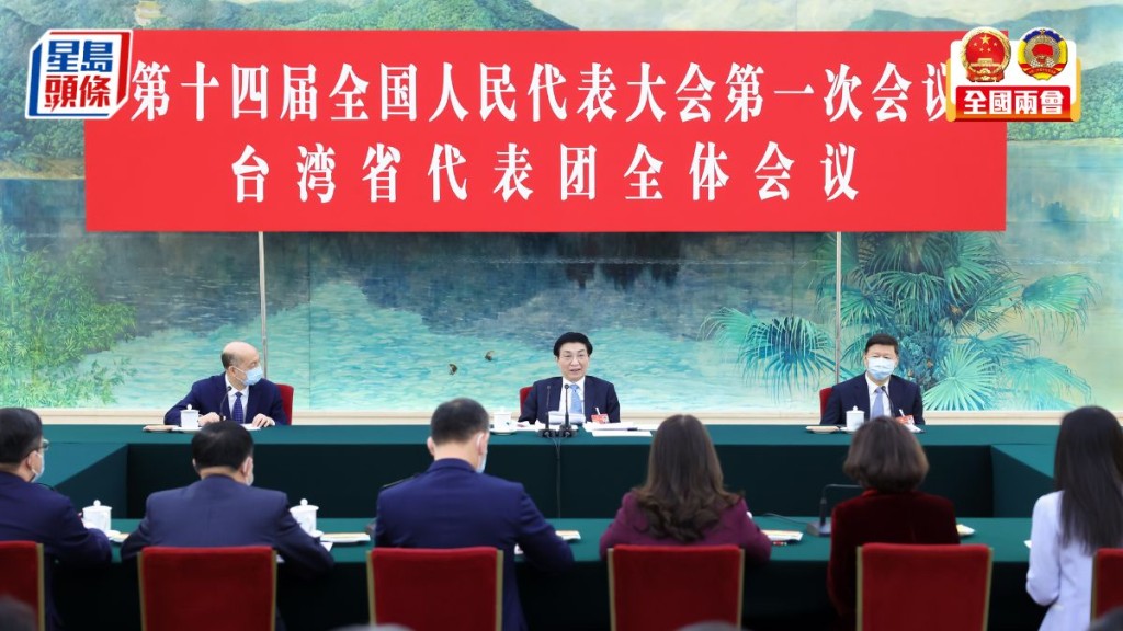 王滬寧參加人大台灣團審議