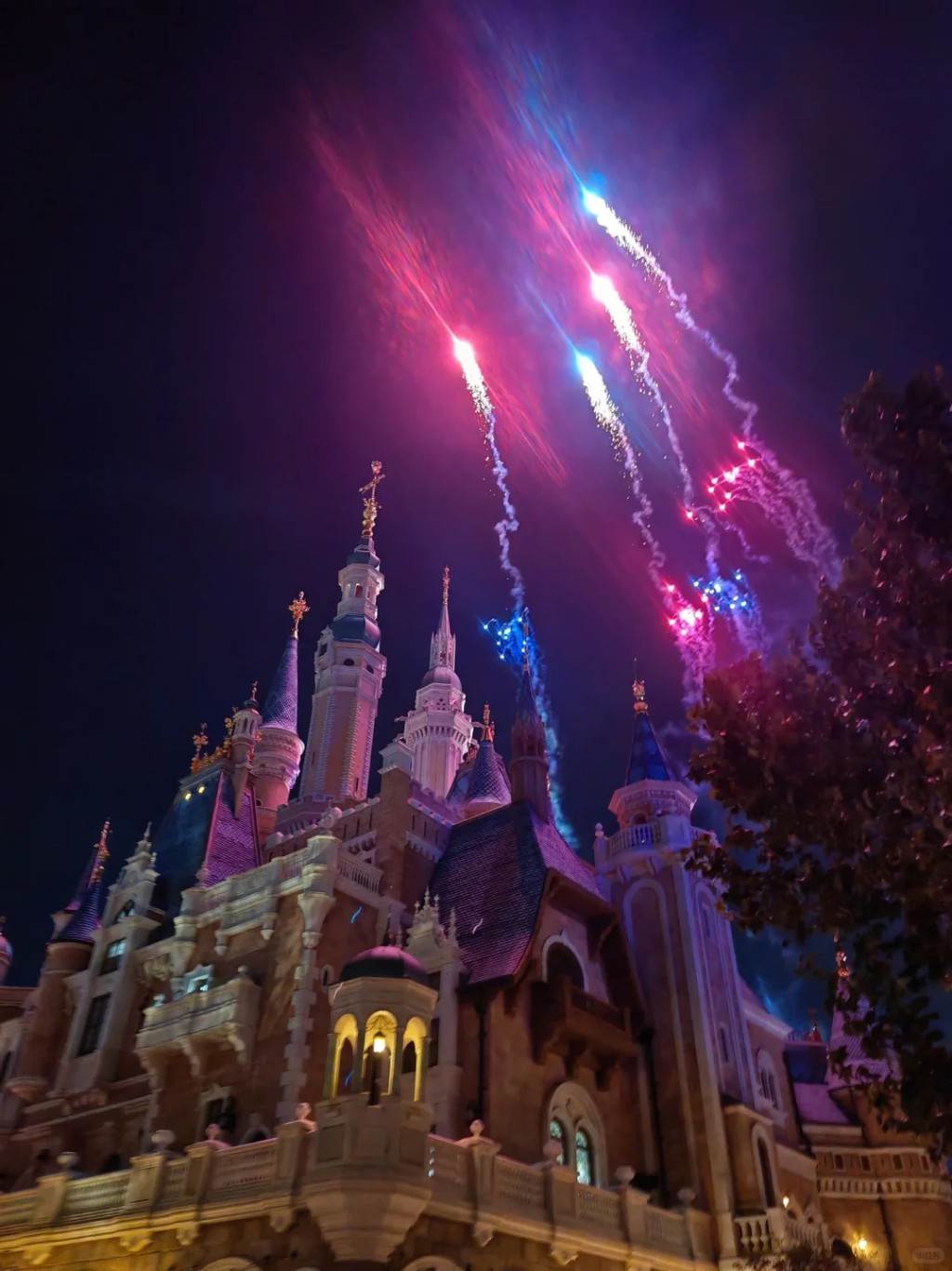 上海迪士尼客量累計破1億人次，將建第四座主題酒店。小紅書＠Rossy