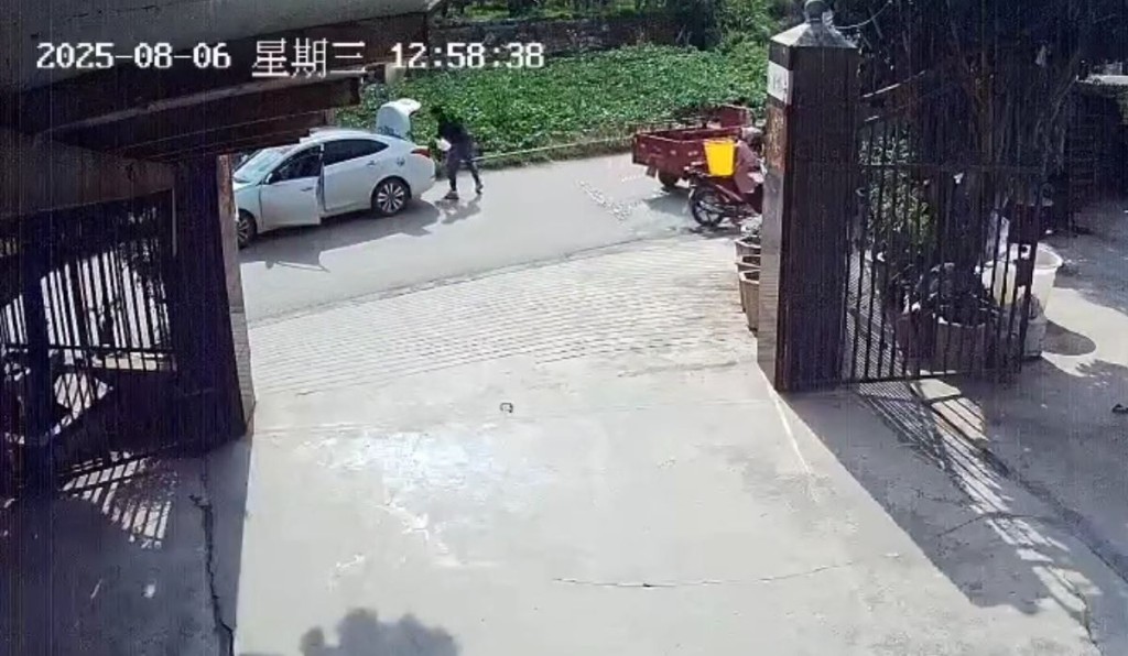 農家樂女老闆養逾30年，超過15公斤重的大鱷龜，被路過司機抱走。抖音@琦啊