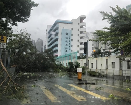 教育局已與天文台建立通報機制,通知學校遇「極端天氣」時應採取的相關安排。 資料圖片