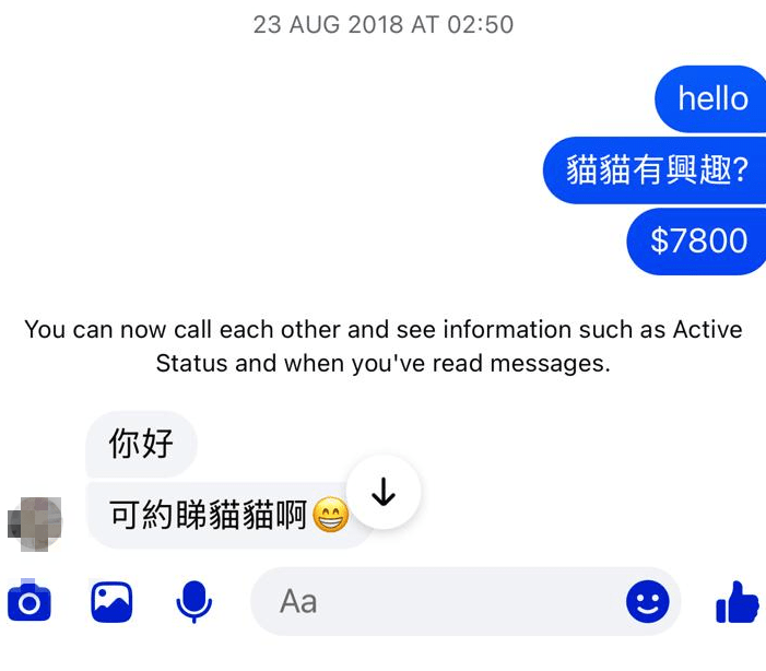 P小姐回憶道,她在2018年9月從網上以$7,800港元購入一對貓咪,Mai Mai就是其中一員。 P小姐回憶道,她在2018年9月從網上以$7,800港元購入一對貓咪,Mai Mai就是其中一員。
