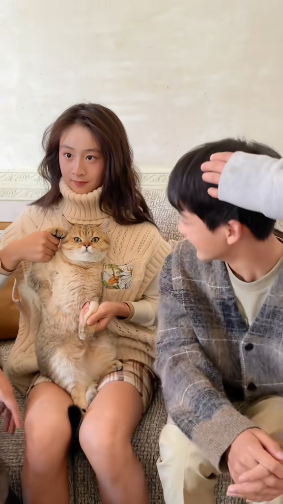 日前田亮和叶一茜在抖音贴上一家四口与猫猫影全家福相片。