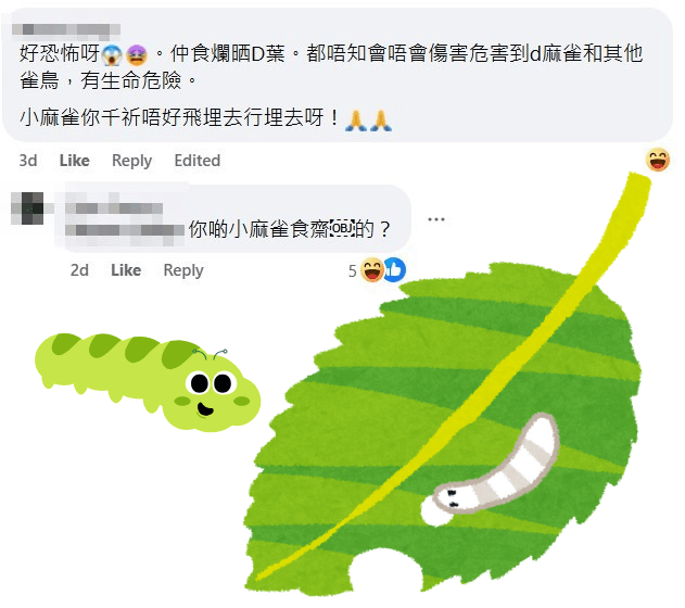 網民：好恐怖呀。仲食爛晒啲葉。fb「真.屯門友」截圖