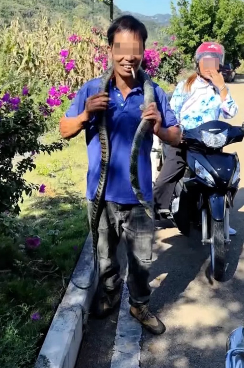 男子誤將眼鏡王蛇把玩,最終被咬身亡。 男子誤將眼鏡王蛇把玩,最終被咬身亡。