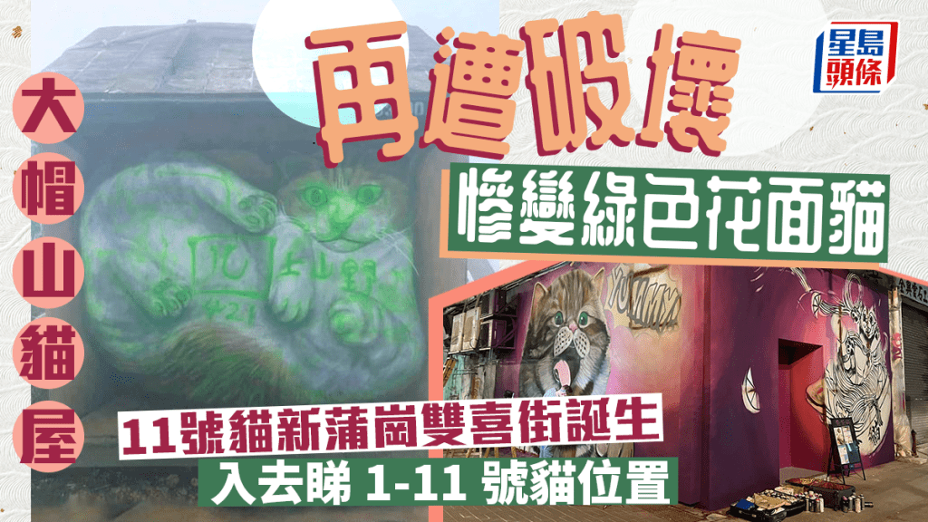 大帽山貓屋再遭破壞成身花晒 網民怒緝「四字」慣犯