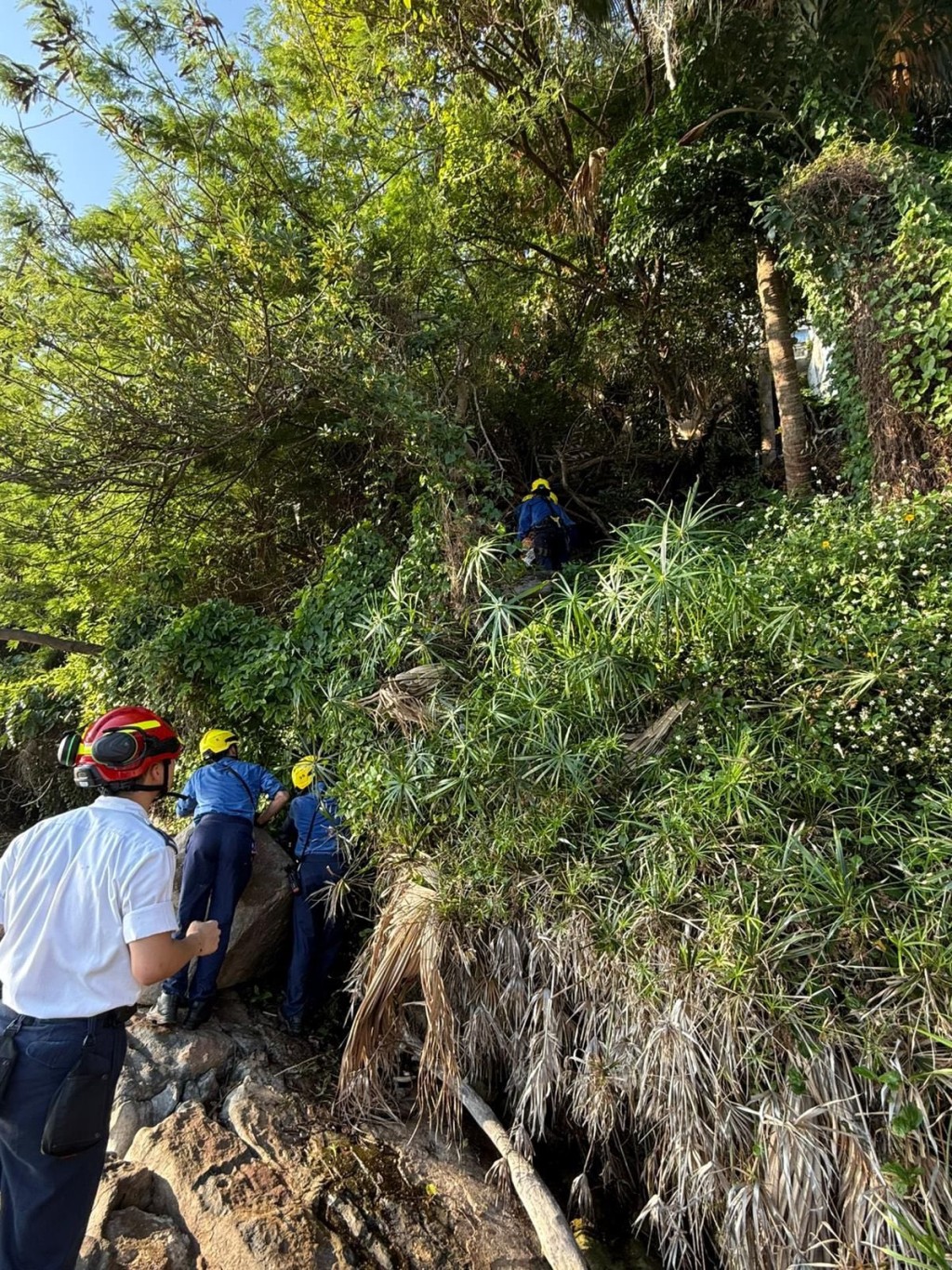 警方及消防破林救出傷者。FB:香港警察 警方及消防破林救出傷者。FB:香港警察