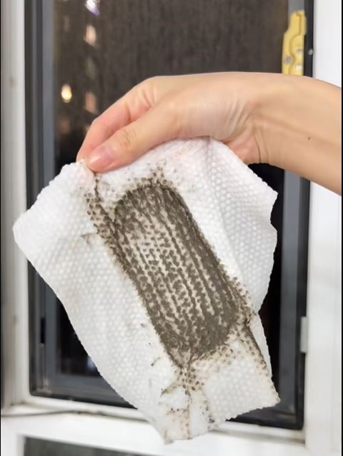 大掃除時要戴上口罩，避免吸入黴菌，危害健健。小紅書