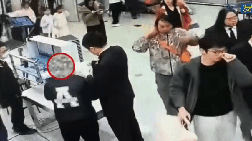 女子背包藏10活蜥蜴闯关被截查。