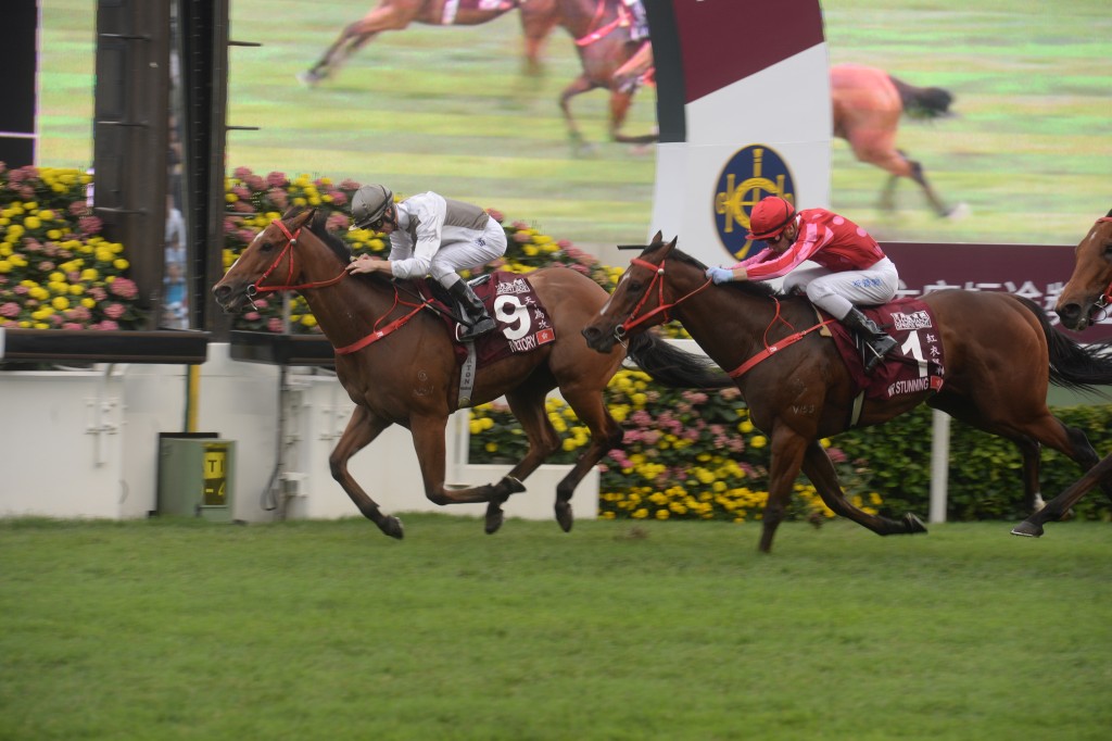 「天下為攻」為2017/2018馬季最大進步馬匹和最佳短途馬。