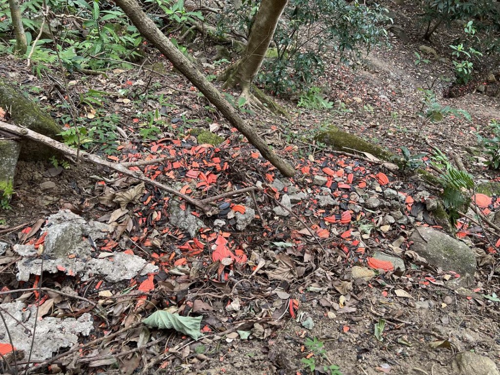 槍會山坡仍遺留大量靶碎。綠惜地球圖片
