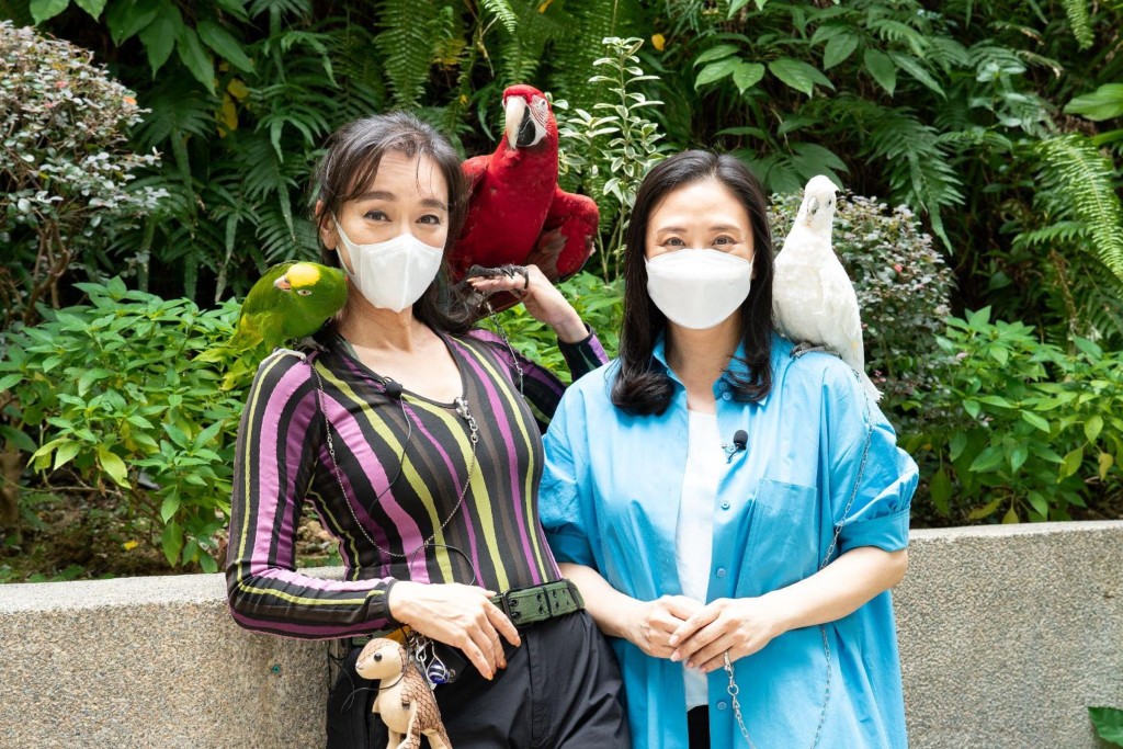 郭秀云近年曾与立法会议员葛佩帆拍片，呼吁保护鹦鹉。