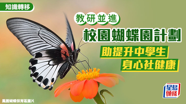 精神健康｜校園蝴蝶園計劃 助提升中學生身心社健康｜教研並進
