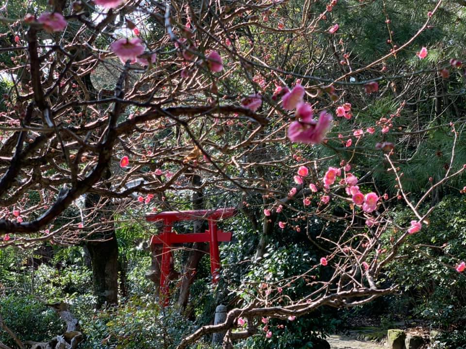 涉事溫泉旅館「大丸別莊」室外環境（圖片來源：「福岡県二日市温泉 大丸別荘」Facebook專頁）