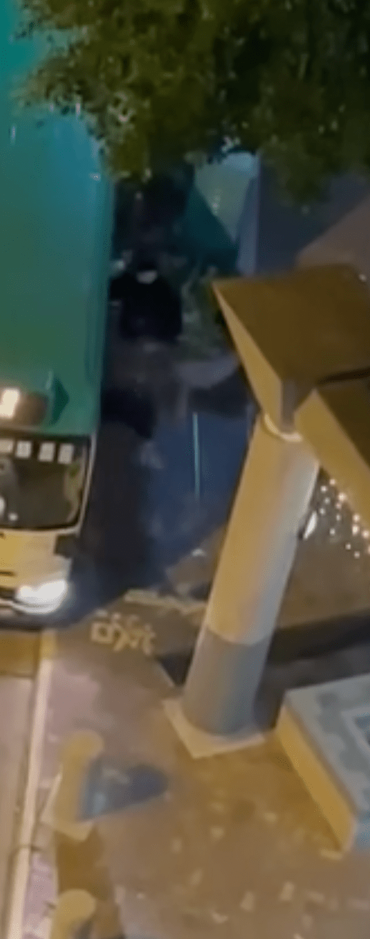 男子拍打小巴车身。（Facebook专页HongKong CarCam影片截图）