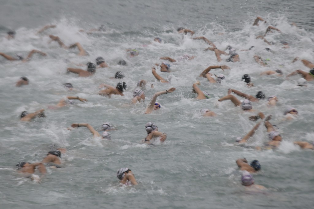 「新世界维港泳」11月12日早上举行。（陈极彰摄）