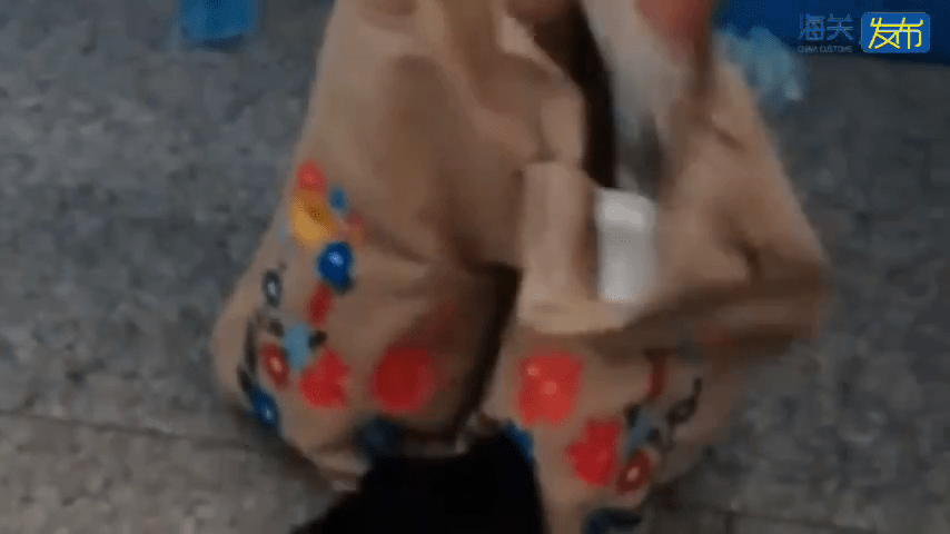 海關搜查「水貨客」褲檔。 海關搜查「水貨客」褲檔。