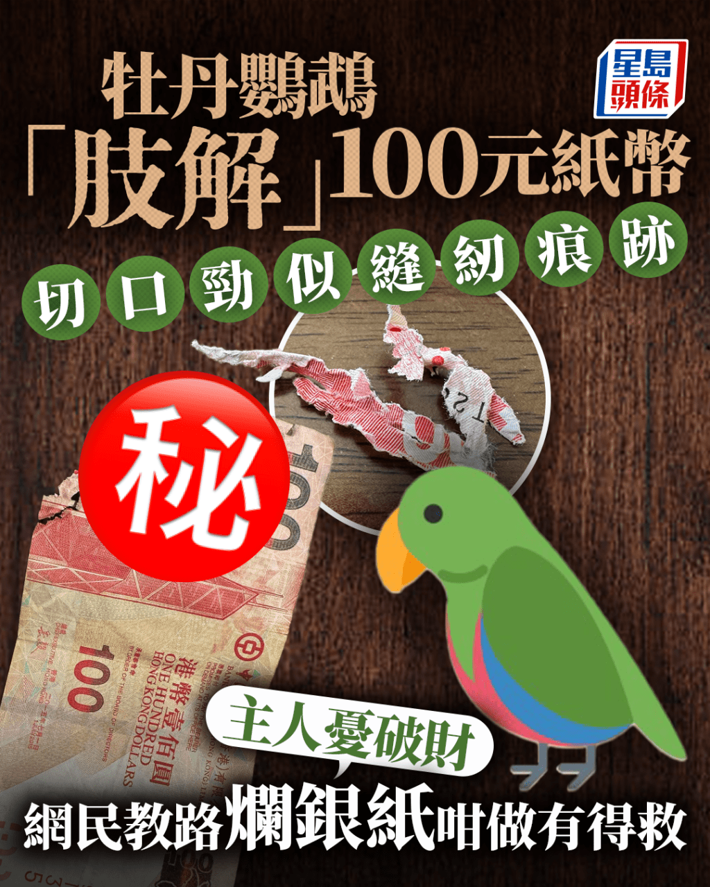 牡丹鸚鵡「肢解」100元紙幣 切口勁似縫紉痕跡 主人呻破財 網民教路爛銀紙咁做有得救|Juicy叮 牡丹鸚鵡「肢解」100元紙幣 切口勁似縫紉痕跡 主人呻破財 網民教路爛銀紙咁做有得救|Juicy叮