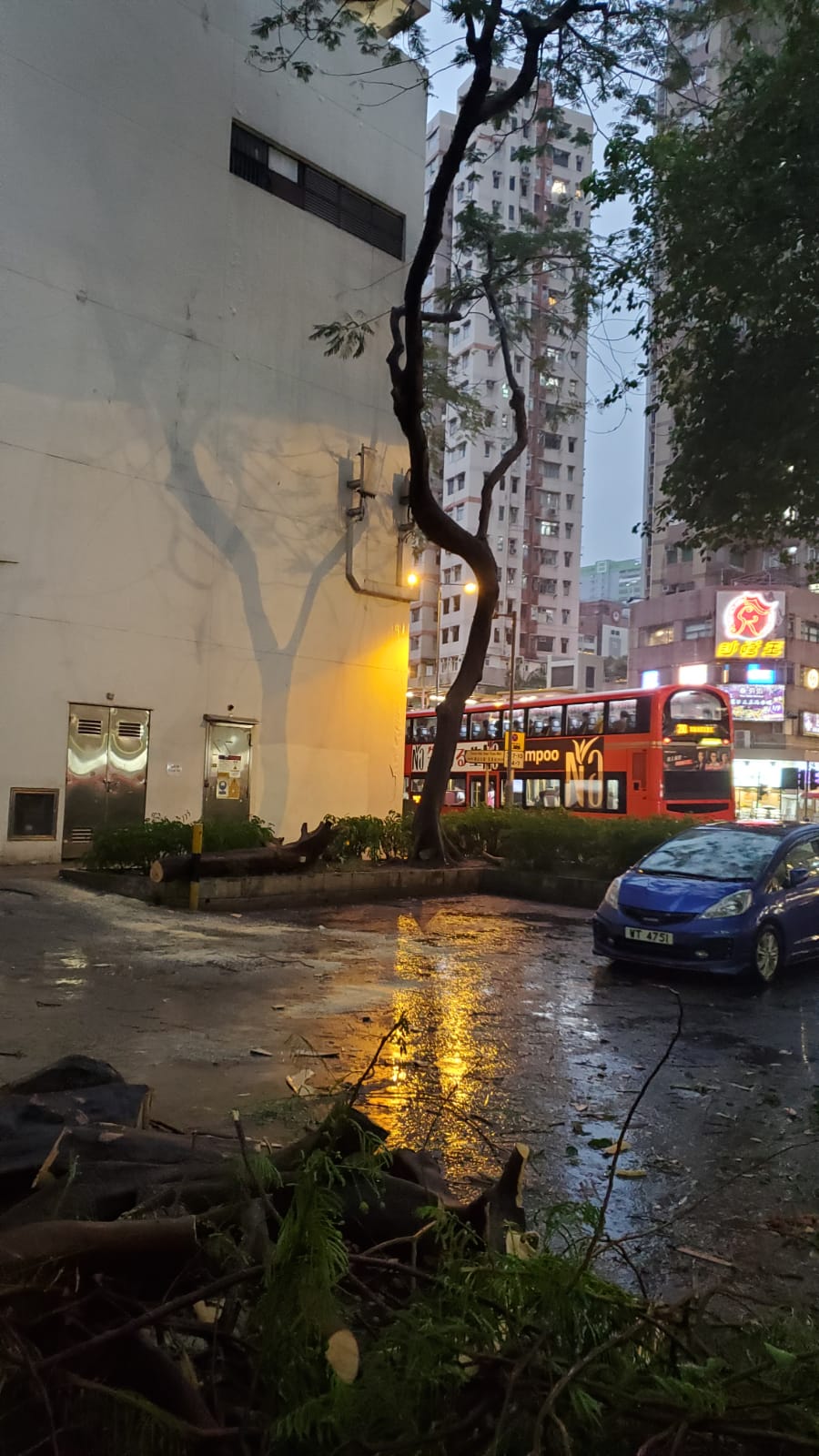 荃灣有大樹倒塌擊中停泊私家車。