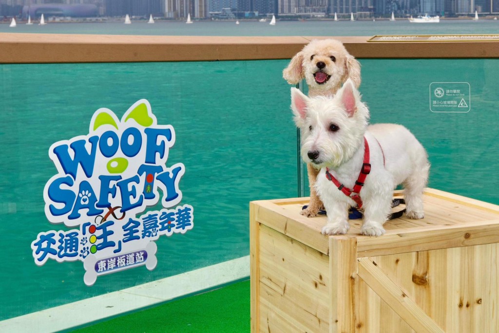 警方港岛总区在东岸板道(东段)举办 “WOOF Safety交通‘汪’全嘉年华.东岸板道站”。 警方港岛总区在东岸板道(东段)举办 “WOOF Safety交通‘汪’全嘉年华.东岸板道站”。