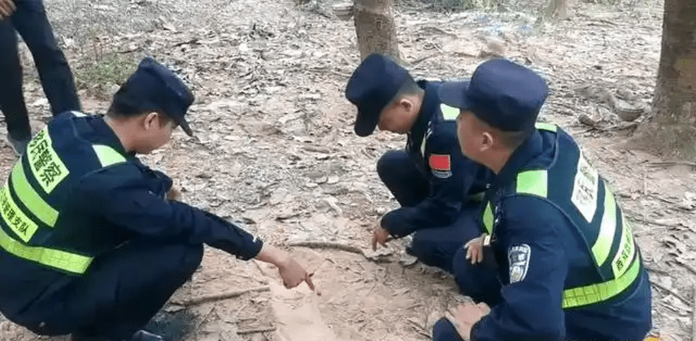 警方進行進行地毯式搜查。