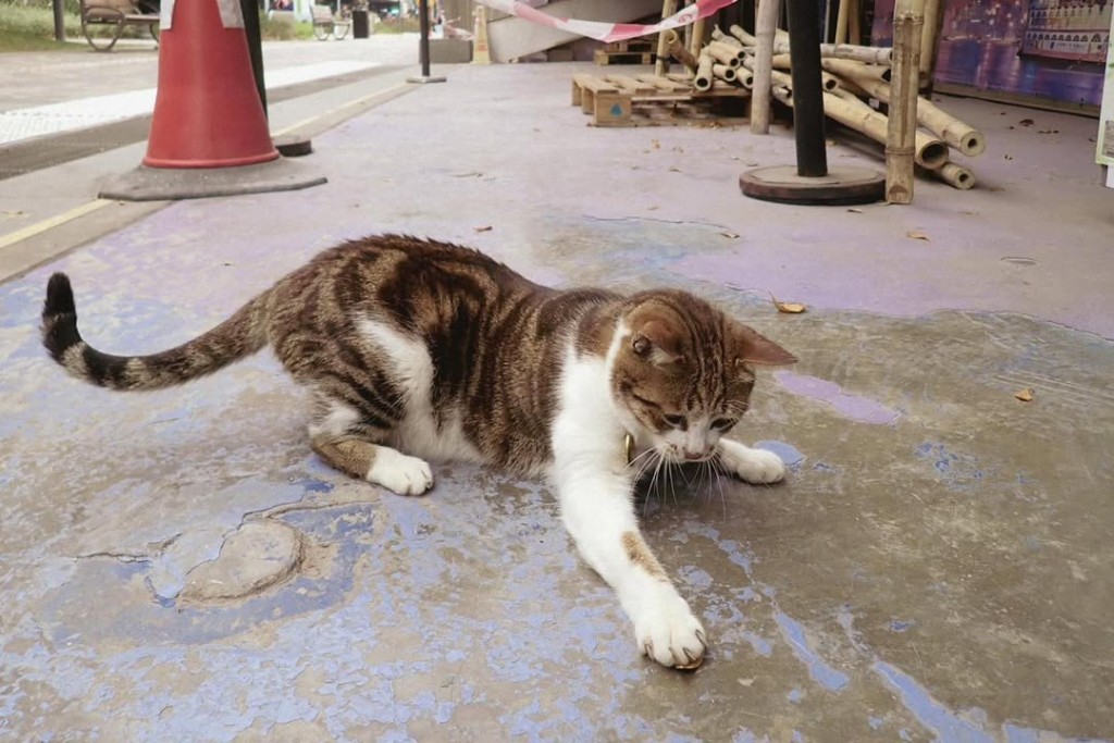 ig@npcat_at_pier ig@npcat_at_pier