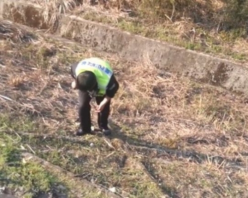 交通警最後花2小時執錢。網上圖片