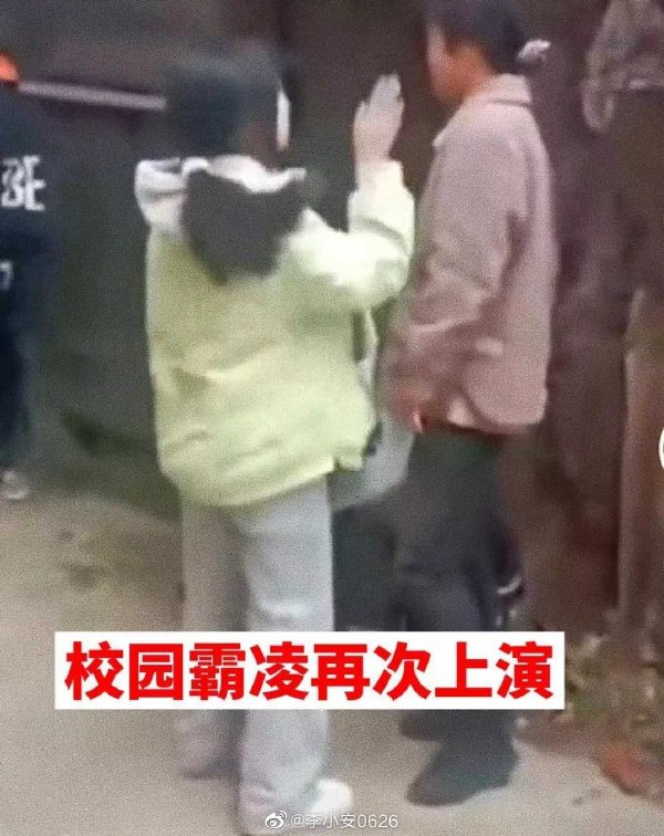 2未成年中学女生掌掴脚踢师妹。网片截图