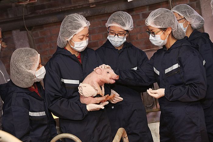 六年的課程，學生須到農場實習。