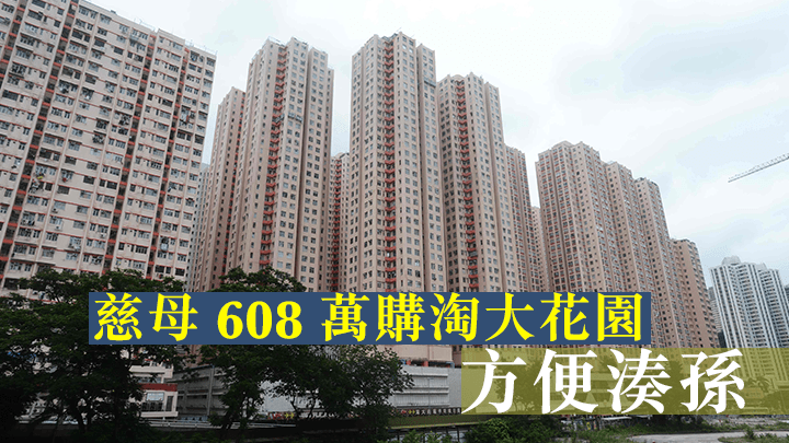慈母608萬購淘大花園,方便湊孫。