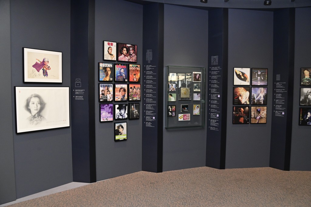 今年是一代巨星梅艳芳逝世20周年，由平安夜（24日）开始，至明年9月2日，沙田文化博物馆将会举行「绝代芳华．梅艳芳」展览。