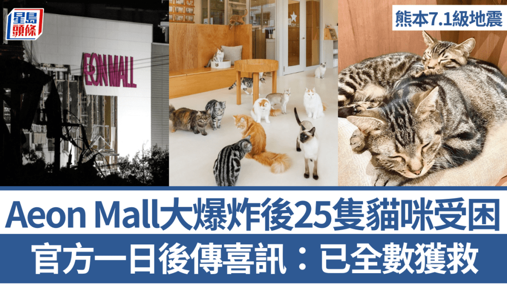 熊本Aeon Mall地震后爆炸 场内猫Cafe 25只猫咪受困 官方一日后传喜讯：已全数获救