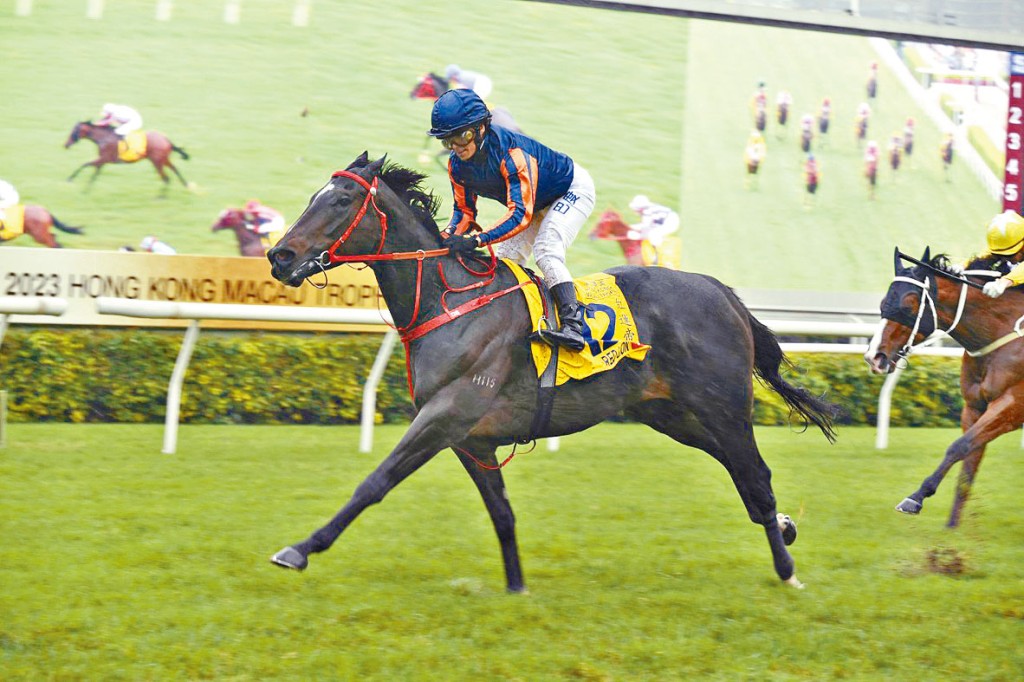 「红运帝王」昨日捧走港澳杯。