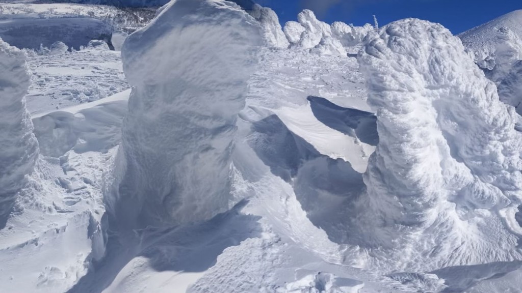 樹冰露在外面的部分其實是樹頂，周圍積雪鬆軟應保持距離觀看。 facebook