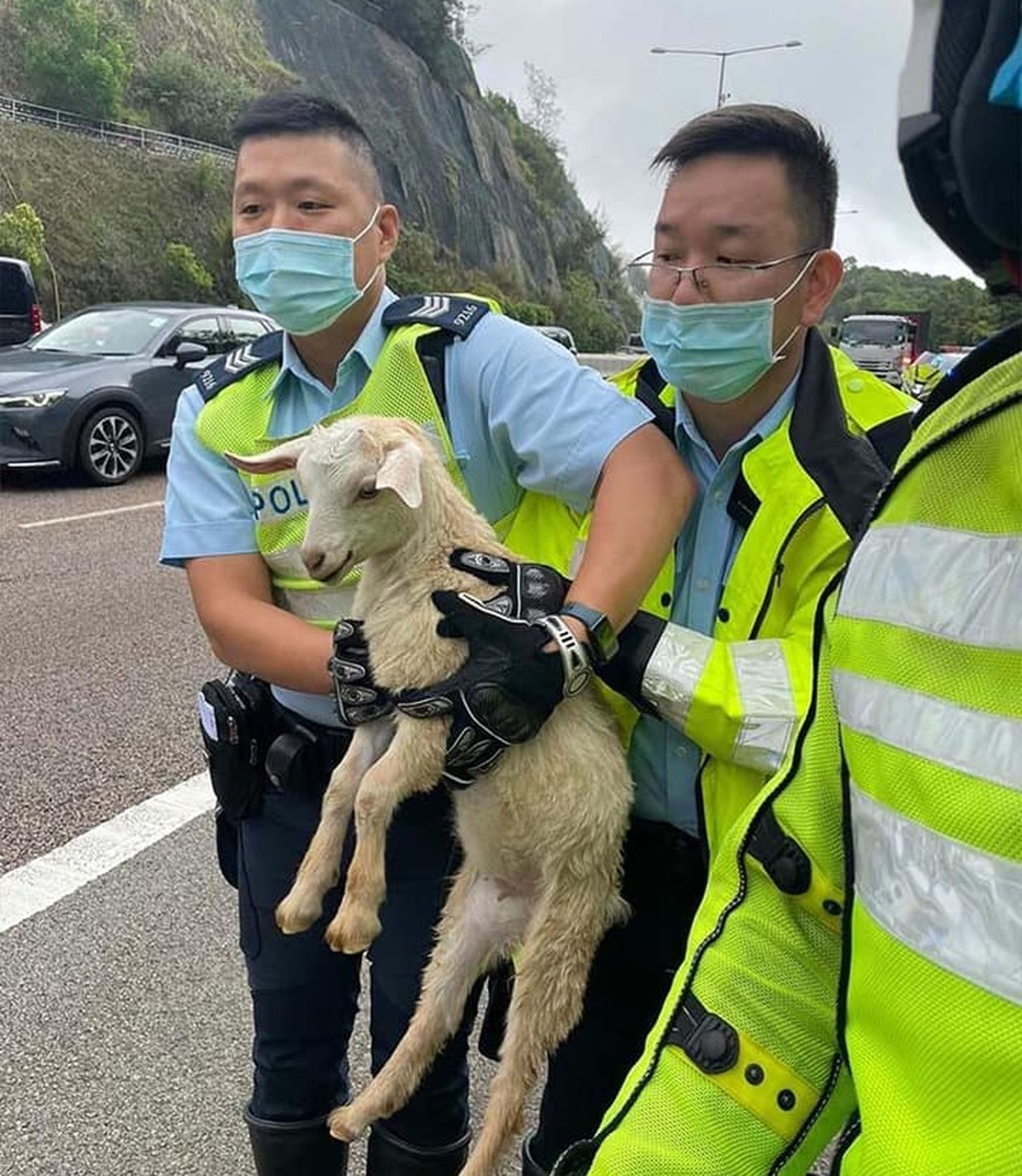 警方Facebook相片