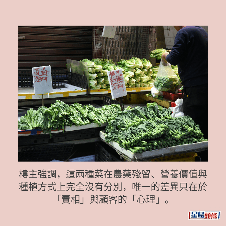 資料圖片 資料圖片