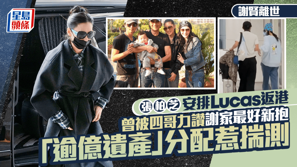 谢贤离世丨张柏芝安排Lucas返港 曾被四哥力赞谢家最好新抱 「逾亿遗产」分配惹揣测