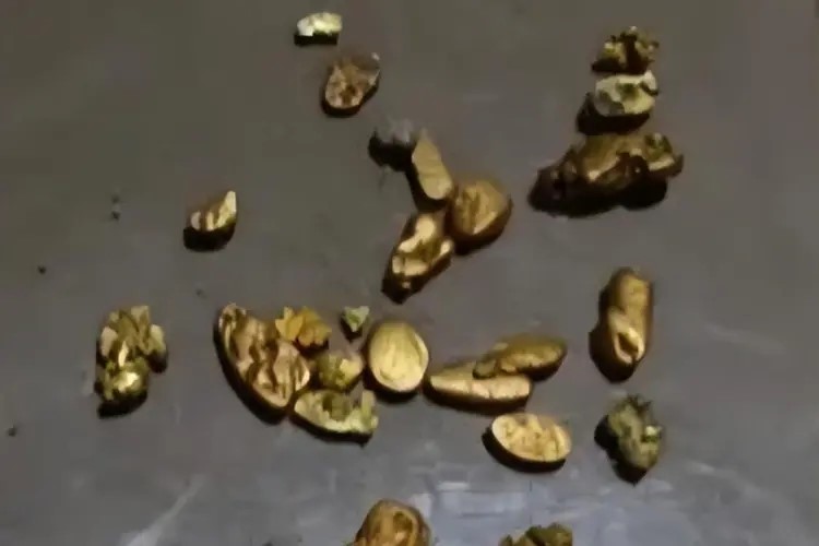 甘肅康縣燕子河傳出有黃金,吸引民眾前往淘金。微博 甘肅康縣燕子河傳出有黃金,吸引民眾前往淘金。微博