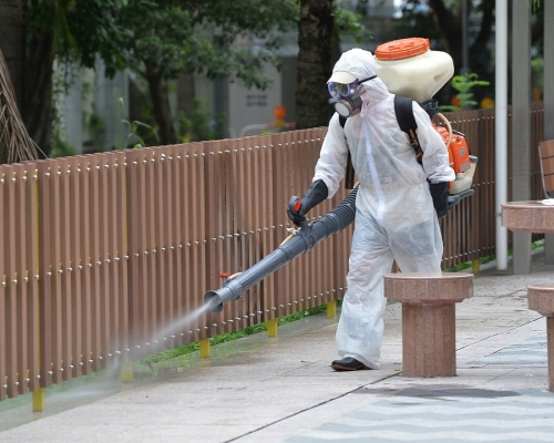 本港過去一周錄三宗外地傳入登革熱個案。資料圖片