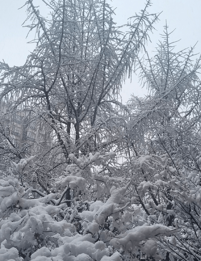 北京多地飄起雪花。 微博