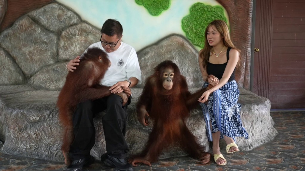 兩人遊覽動物園。 兩人遊覽動物園。