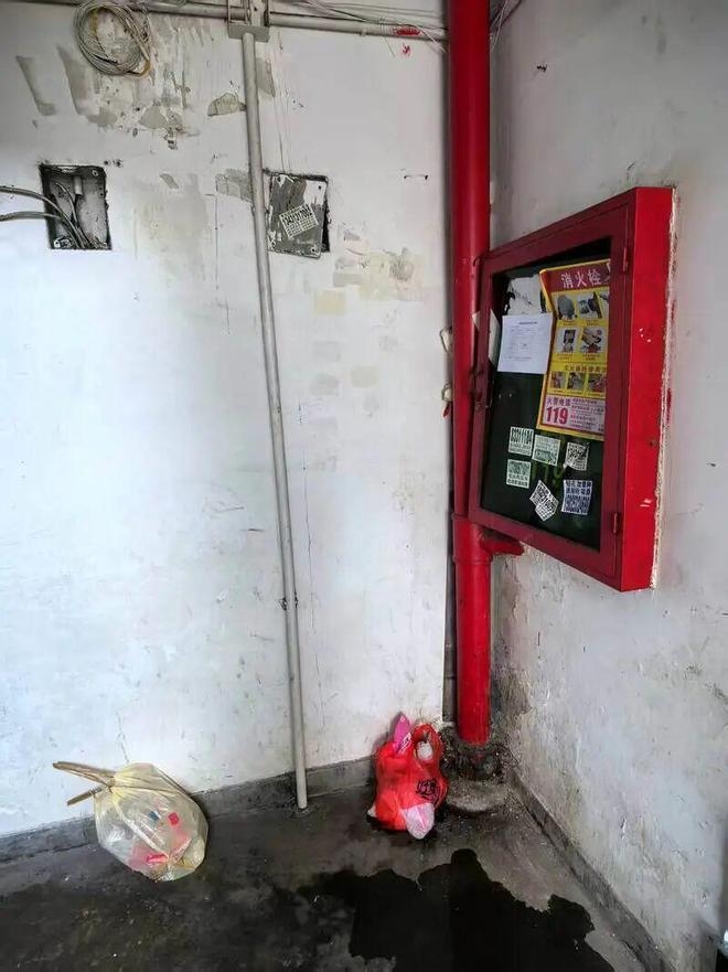 大廈多層的消防栓玻璃門已經破損，卻仍被貼上「合格」標籤。
