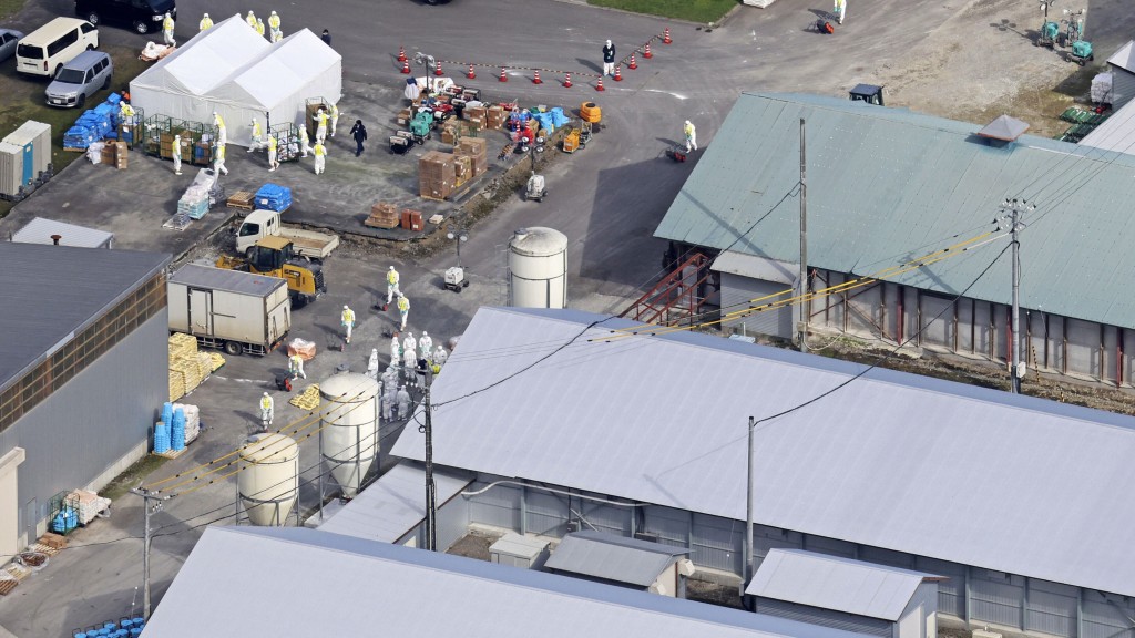 今年10月，北海道白老町确认日本本季第一宗禽流感疫情。路透社