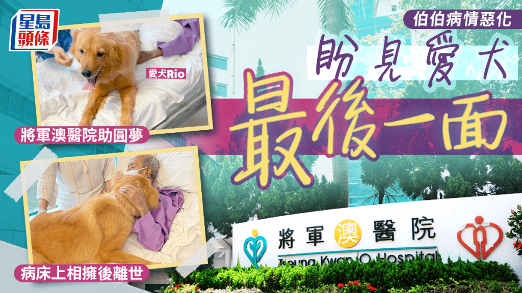 伯伯病情恶化盼见爱犬最后一面 将军澳医院助圆梦 病床上相拥后离世